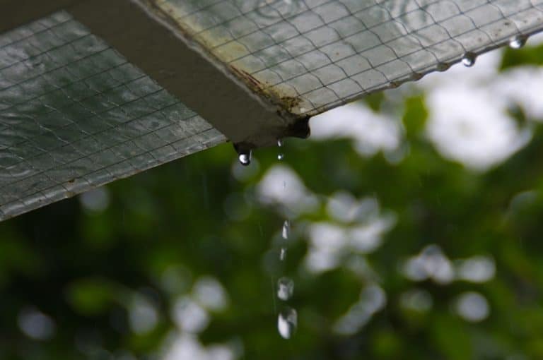 Fixing Metal Roof Leaks: Top Sealant Choices