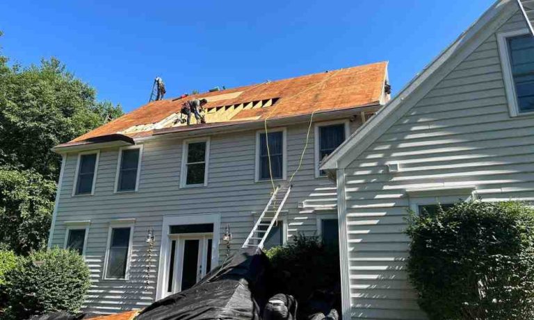 The Homeowner’s Guide to Modern Roof Installation